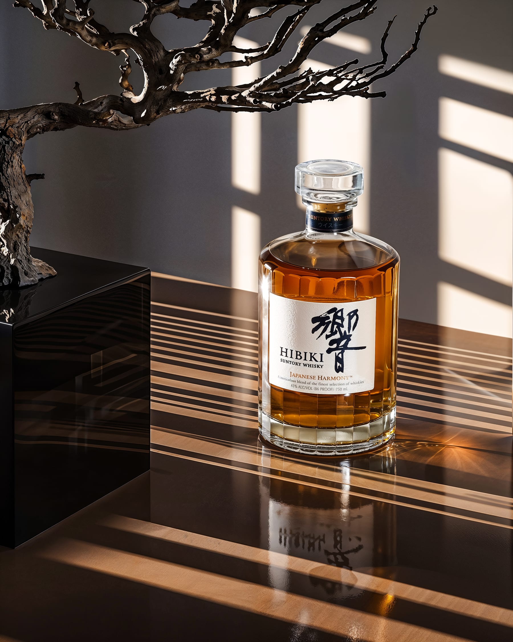 Chronos Studio - Hibiki 2