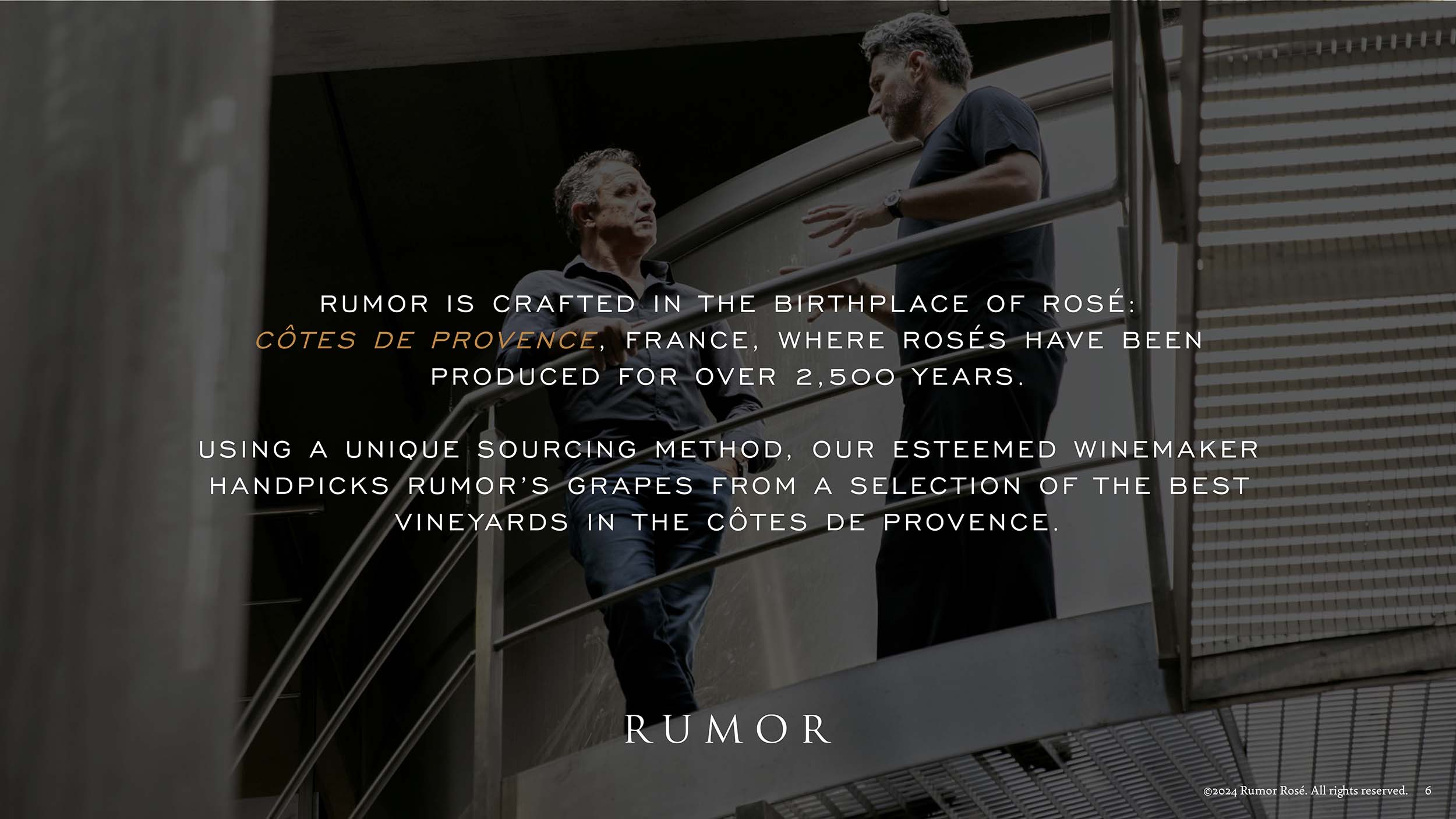 Rumor Rosé - 6